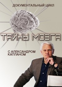 Постер «Тайны мозга»