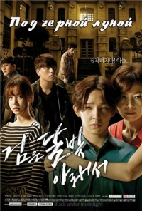 Постер «Под черной луной»