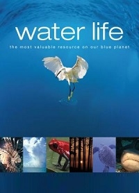 Постер «Водная жизнь»