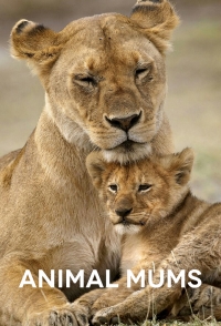 Постер «Заботливые мамы»