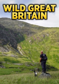 Постер «Дикая природа Великобритании»