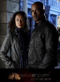 Постер «Семейные тайны (2010)»