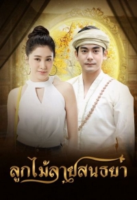 Постер «Кружева с сумеречным узором»