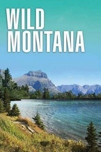 Постер «Дикая Монтана»