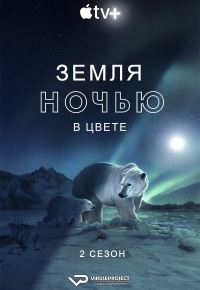 Постер «Земля ночью в цвете»