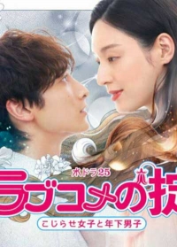 Постер «Правила романтической комедии»