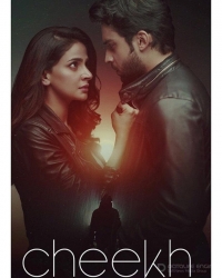 Постер «Крик (Пакистан)»