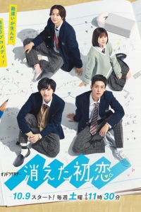 Постер «Исчезающая первая любовь»