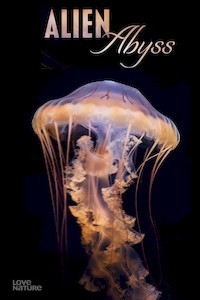 Постер «Инопланетная бездна»