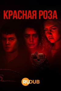 Постер «Красная роза»