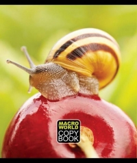 Постер «Макромиры»