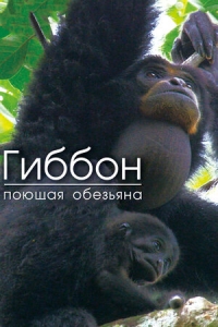 Постер «Гиббон — поющая обезьяна»
