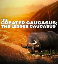 Постер «Большой Кавказ. Малый Кавказ»