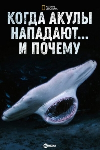 Постер «Когда акулы нападают... И почему»