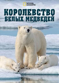 Постер «Королевство белых медведей»