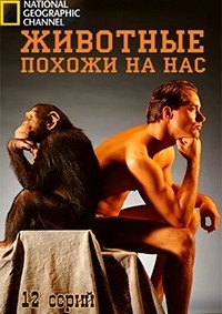 Постер «Животные похожи на нас»