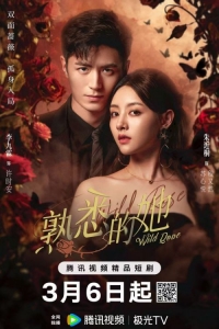 Постер «Дикая роза (Китай)»